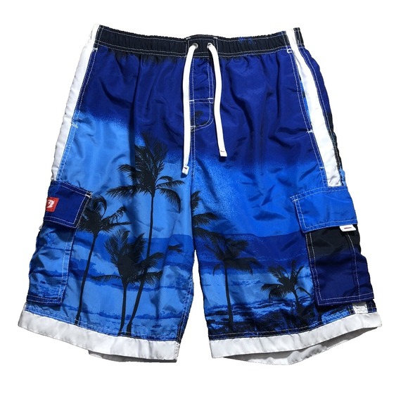 Ingear Other - Ingear Shorts Men Size 36 Blue beach board sk8 swim trunks